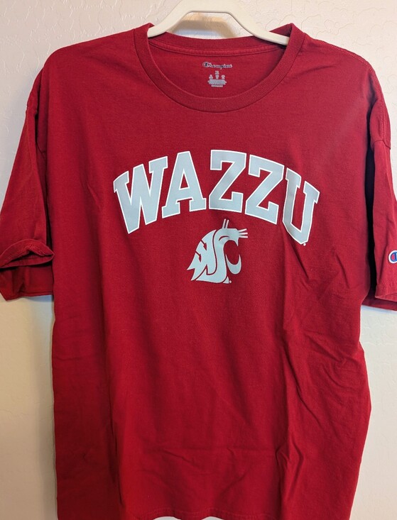 Champion Other - WAZZU Champion RARE Washington State University XL Men's T-shirt